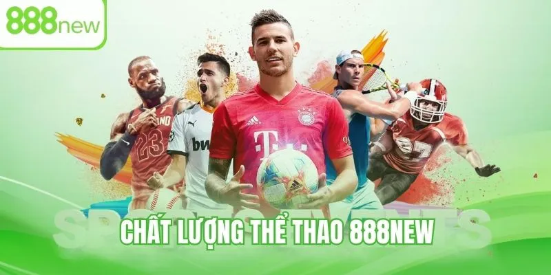 Đánh giá hệ thống thể thao 888NEW